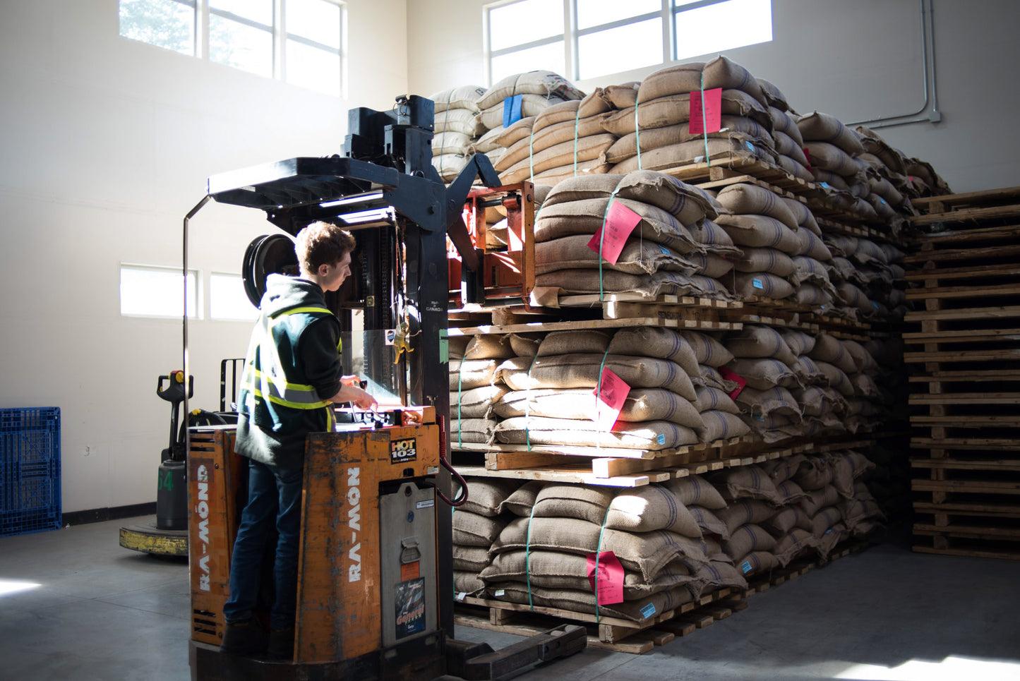 Green coffee sacks in the Level Ground warehouse